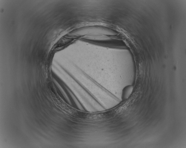 X0000072921165200608181243
