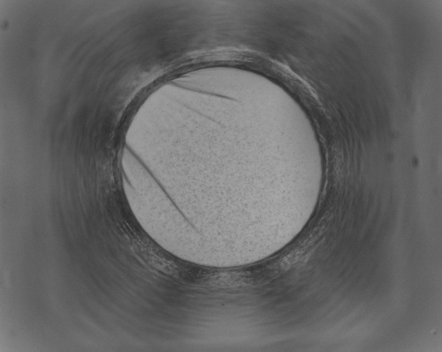 X0000072921166200608181243