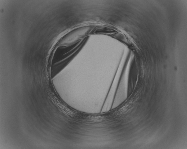 X0000072921168200608181243