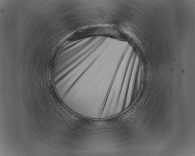 X0000072921169200608181243