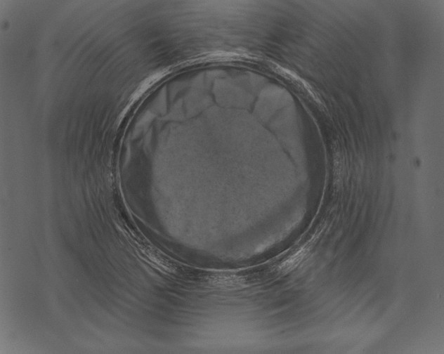 X0000072921170200608181243