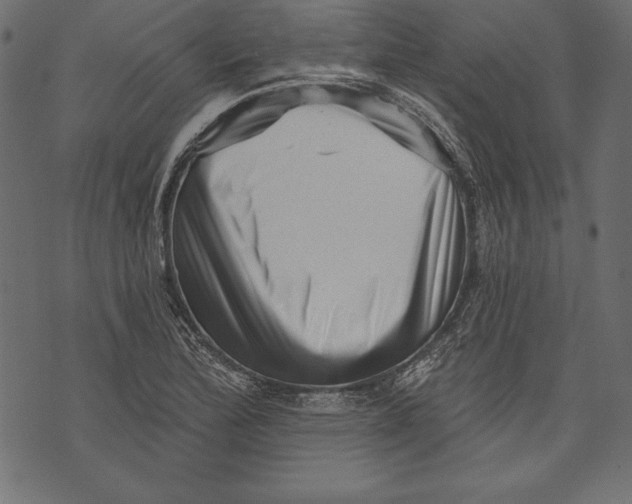 X0000072921172200608181243