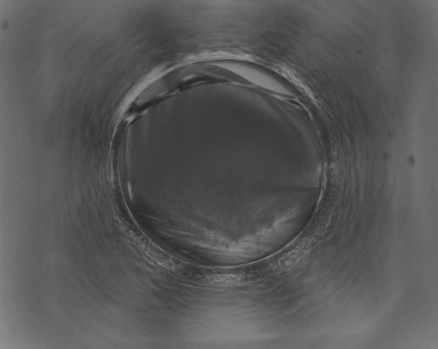 X0000072921173200608181243
