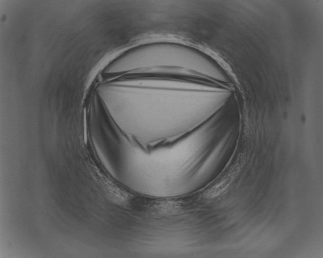 X0000072921175200608181243