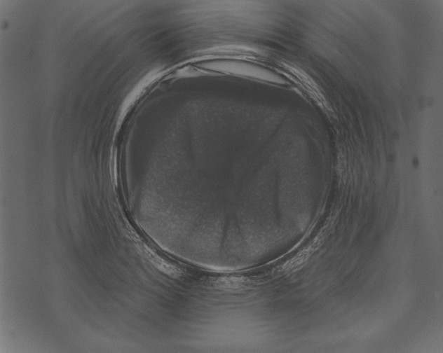 X0000072921180200608181243