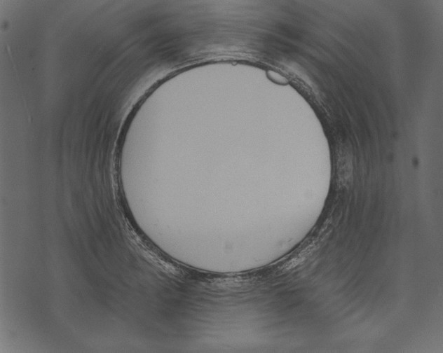 X0000072921182200608181243