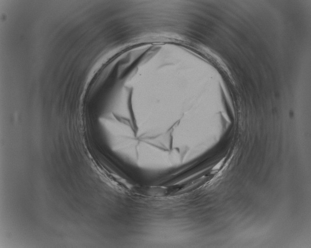 X0000072921192200608181243