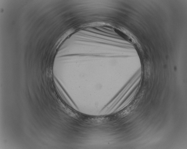 X0000072921193200608181243
