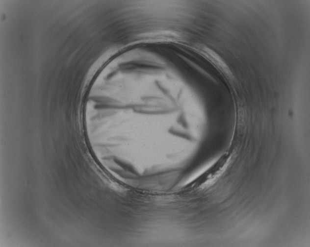 X0000072921196200608181243