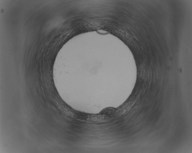 X0000072921201200608181242