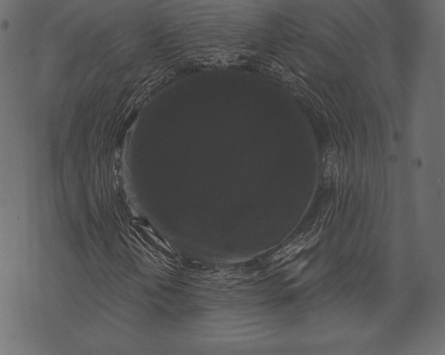 X0000072921202200608181242