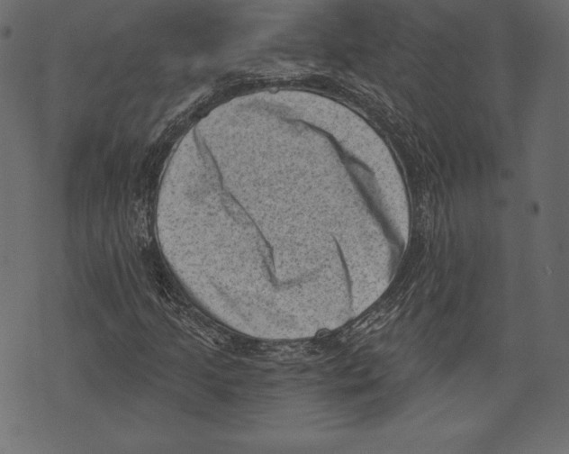 X0000072921205200608181242