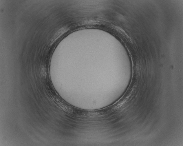 X0000072921209200608181242