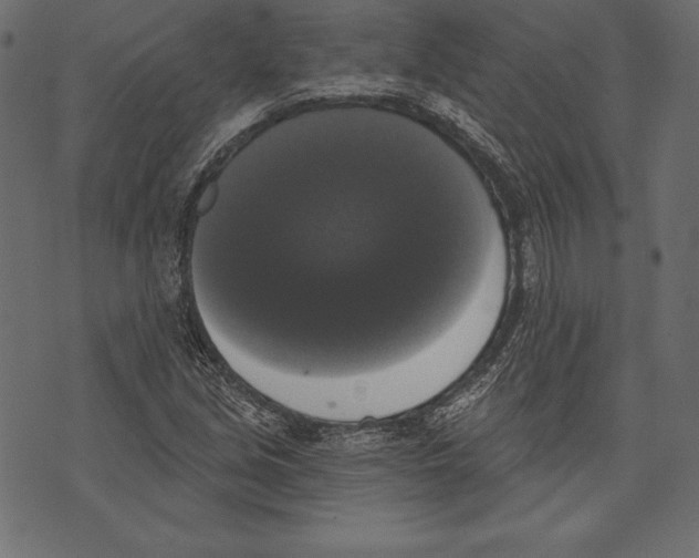 X0000072921213200608181242
