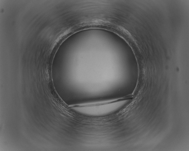 X0000072921218200608181242