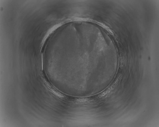 X0000072921223200608181242