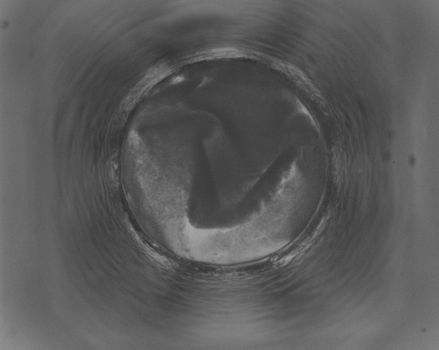 X0000072921225200608181243