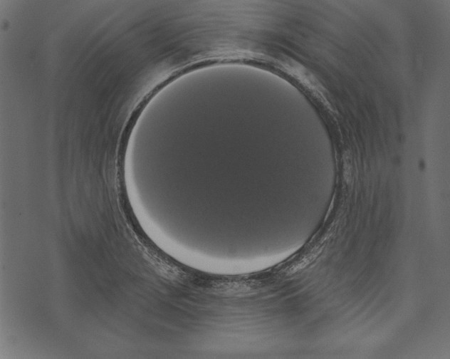 X0000072921229200608181243