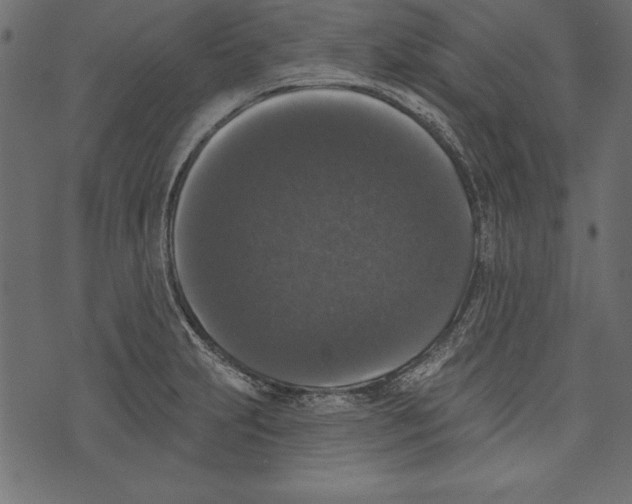X0000072921231200608181243