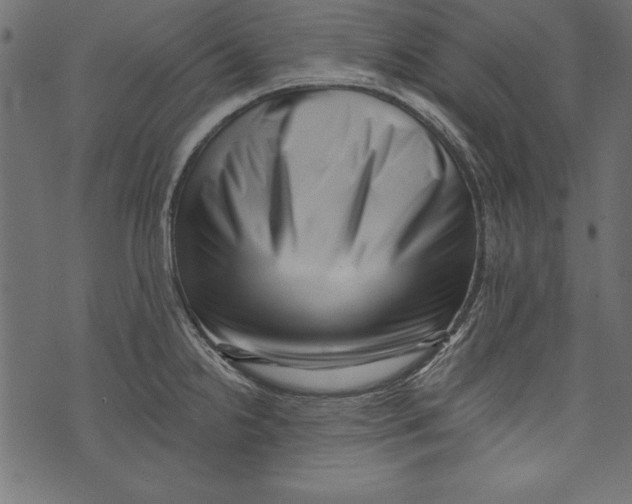 X0000072921238200608181243