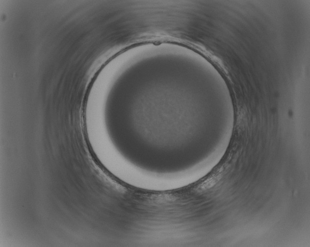 X0000072921239200608181243