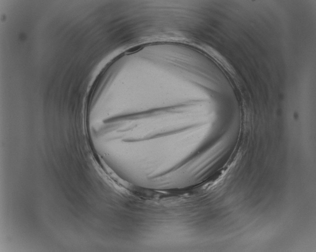 X0000072921246200608181243