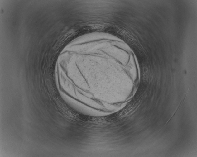 X0000072921249200608181242