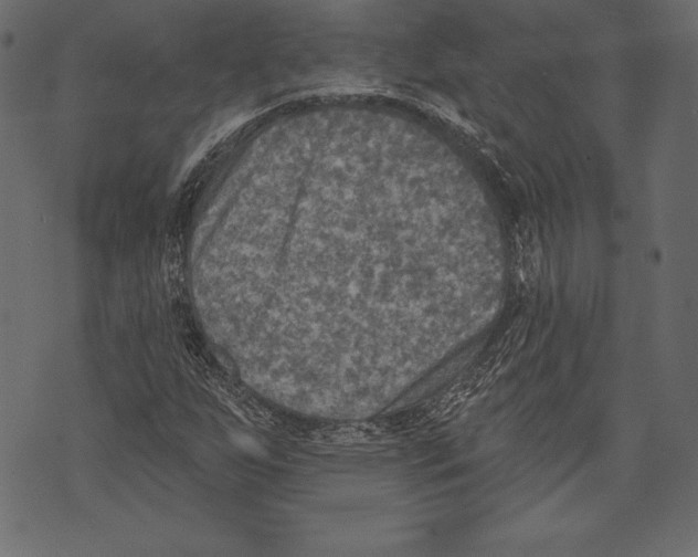 X0000072921255200608181242