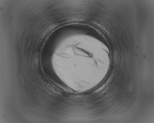 X0000072921257200608181242
