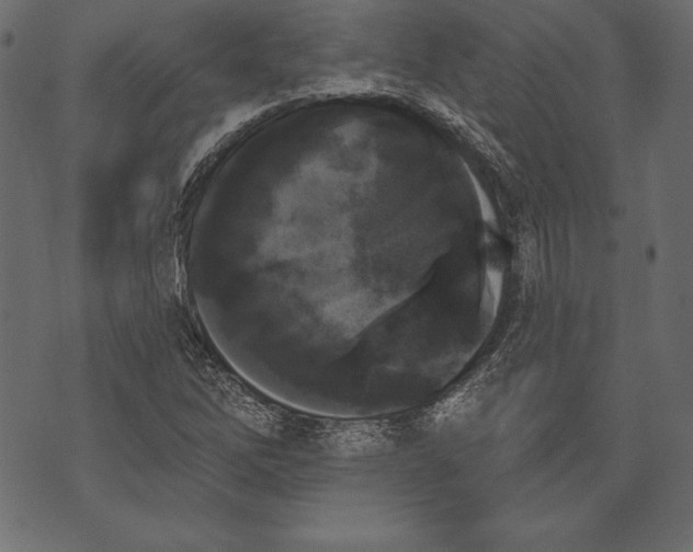 X0000072921262200608181242
