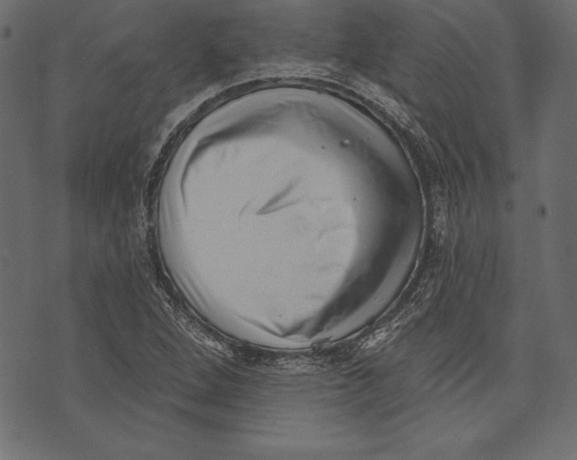 X0000072921264200608181242