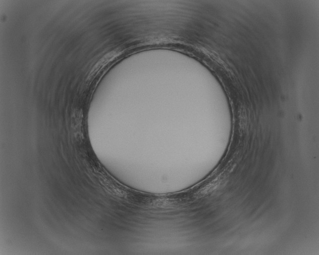 X0000072921265200608181242