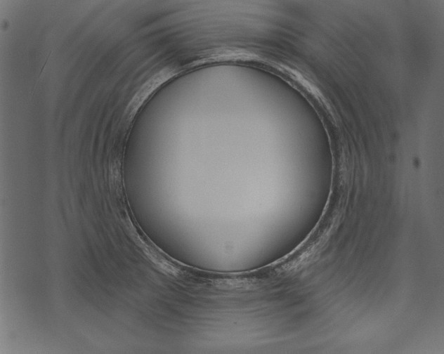 X0000072921281200608181242
