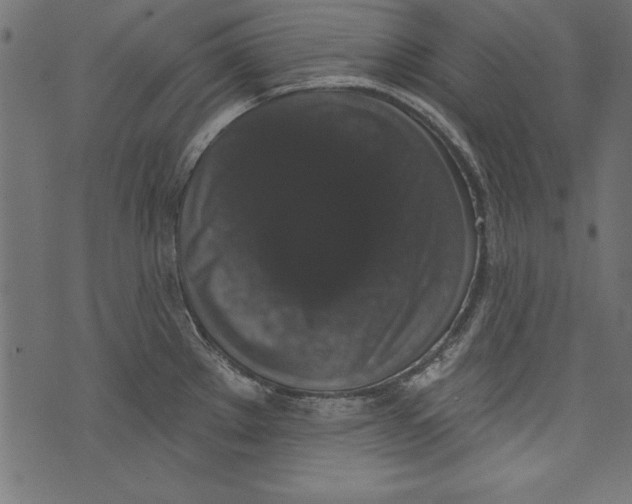 X0000072921289200608181241