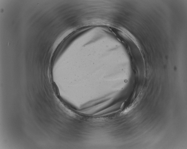 X0000072921293200608181241