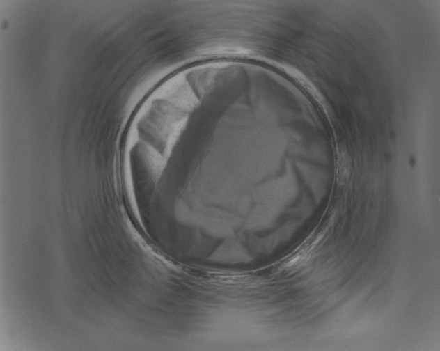 X0000072921295200608181241