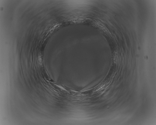 X0000072921298200608181241