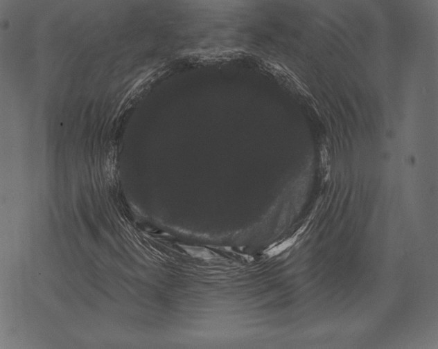 X0000072921300200608181241