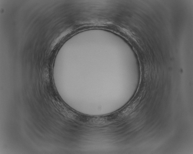 X0000072921307200608181241