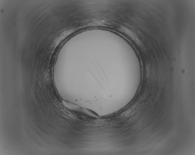 X0000072921308200608181241