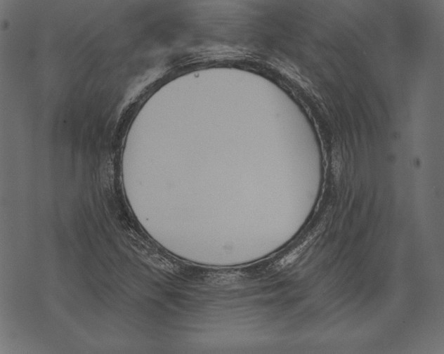 X0000072921309200608181241