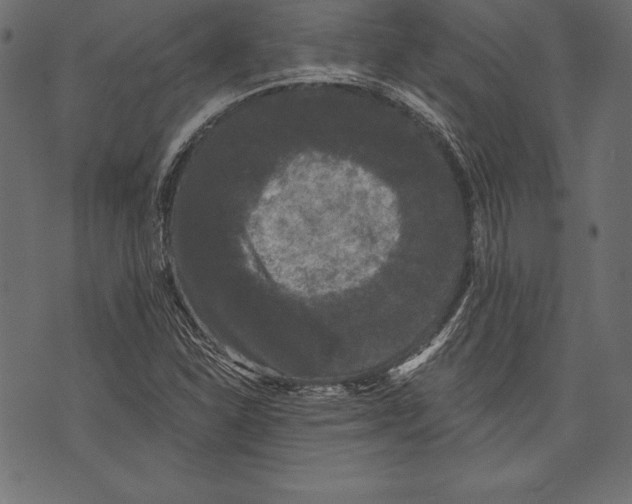 X0000072921310200608181241