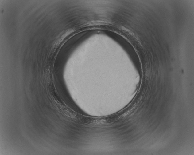 X0000072921313200608181241