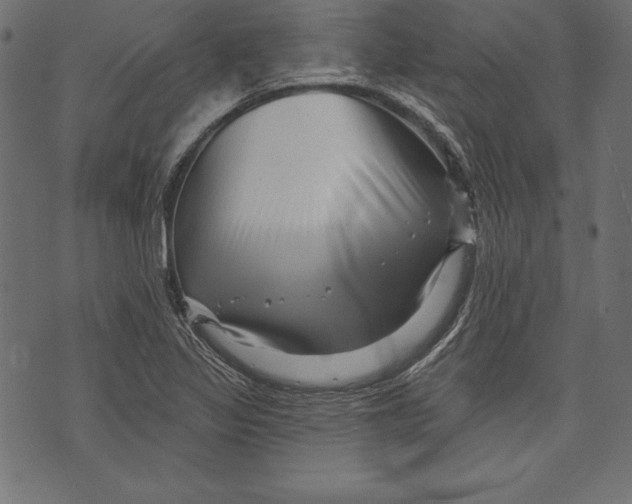 X0000072921317200608181241