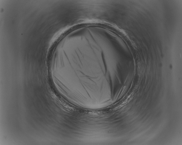 X0000072921319200608181241