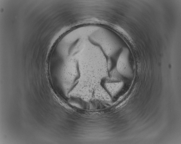 X0000072921326200608181241