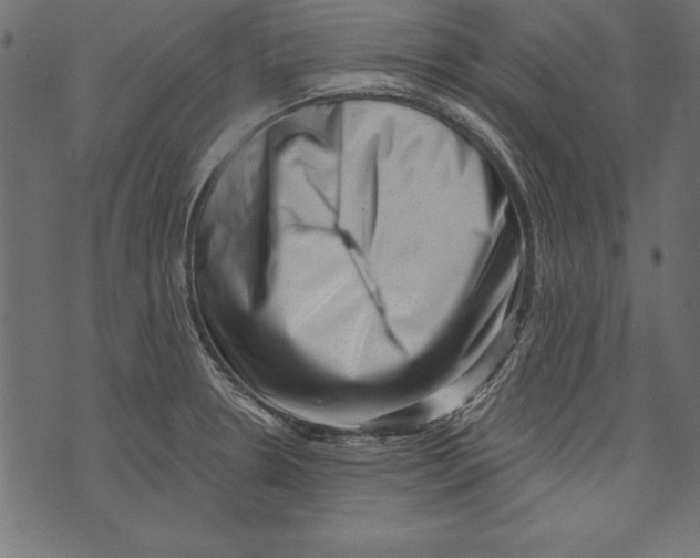 X0000072921330200608181241