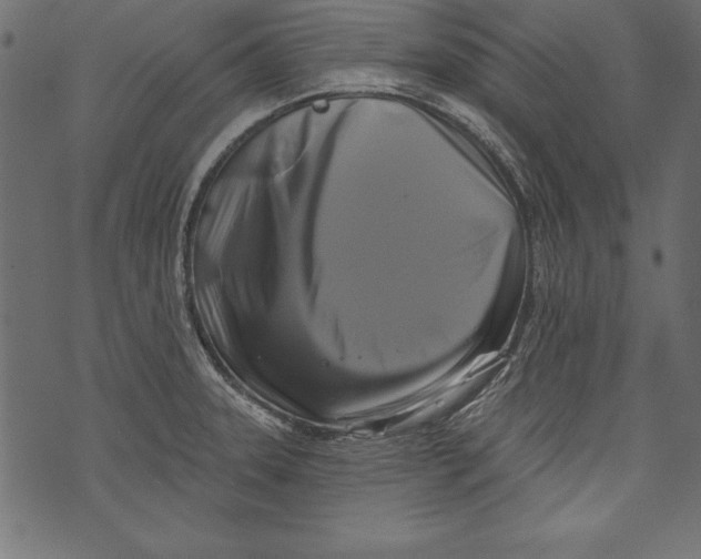X0000072921331200608181241