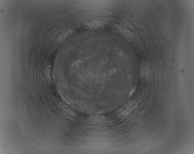 X0000072921346200608181241