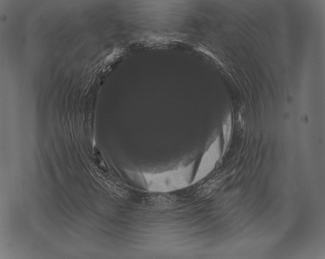 X0000072921348200608181241